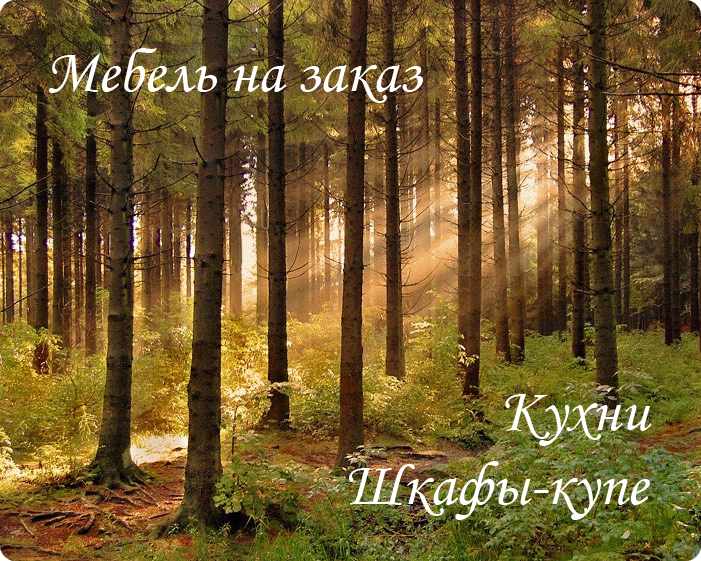 Мебель на заказ в Киеве 