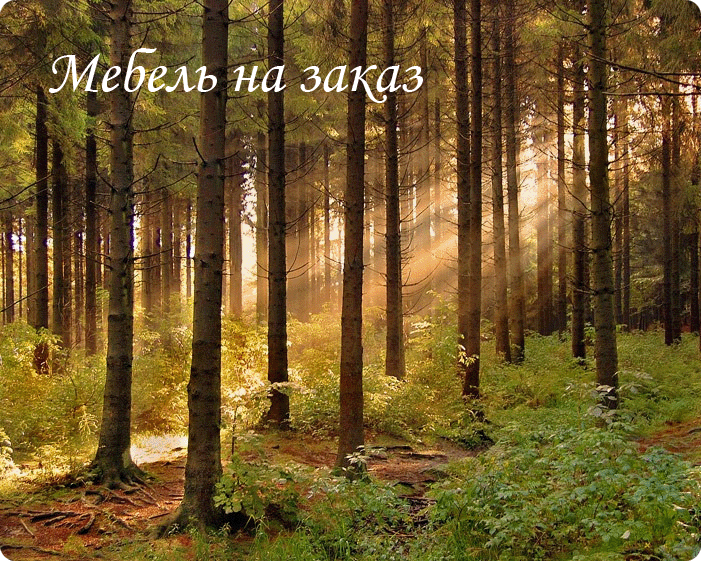  Мебель под заказ в Киеве 